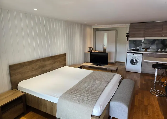 1 Bedroom Oslo, Garden, Terrace, Free Parking, 公寓 奥斯陆